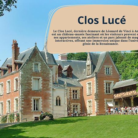 Gite Rabelais - A 5Min Du Chateau D'Amboise Luaran gambar