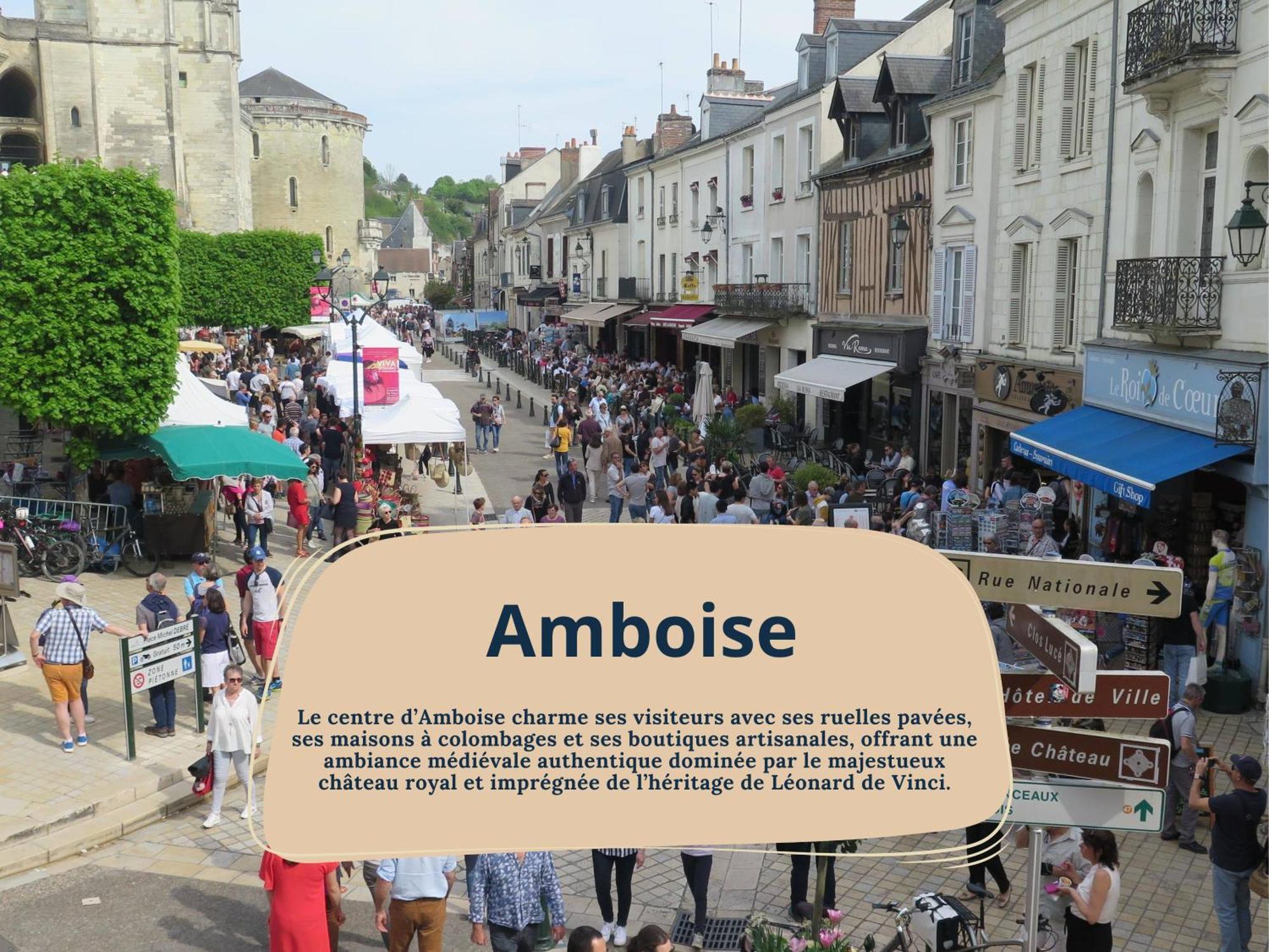 Gite Rabelais - A 5Min Du Chateau D'Amboise Luaran gambar